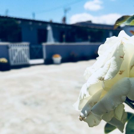 シラクーサCasa Aliceアパートメント エクステリア 写真